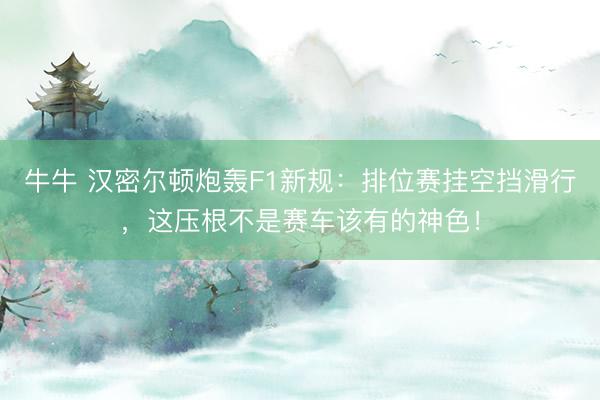 牛牛 汉密尔顿炮轰F1新规：排位赛挂空挡滑行，这压根不是赛车该有的神色！