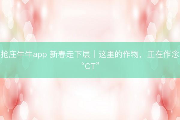 抢庄牛牛app 新春走下层｜这里的作物，正在作念“CT”