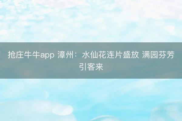抢庄牛牛app 漳州：水仙花连片盛放 满园芬芳引客来