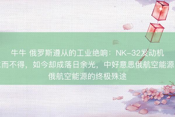 牛牛 俄罗斯遵从的工业绝响：NK-32发动机曾让中国求而不得，如今却成落日余光，中好意思俄航空能源的终极殊途