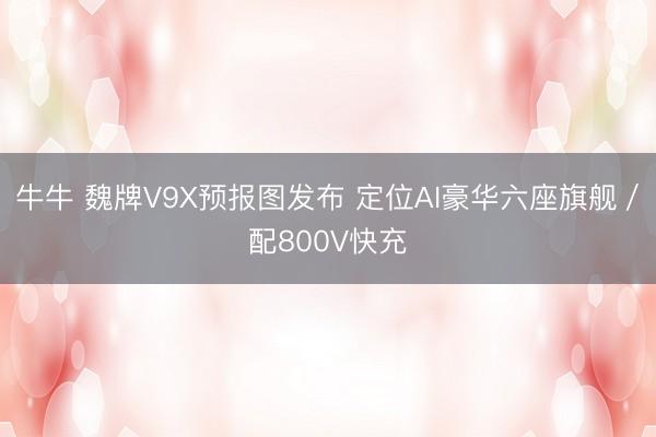 牛牛 魏牌V9X预报图发布 定位AI豪华六座旗舰/配800V快充