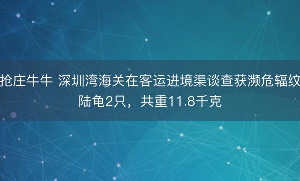 抢庄牛牛 深圳湾海关在客运进境渠谈查获濒危辐纹陆龟2只，共重11.8千克
