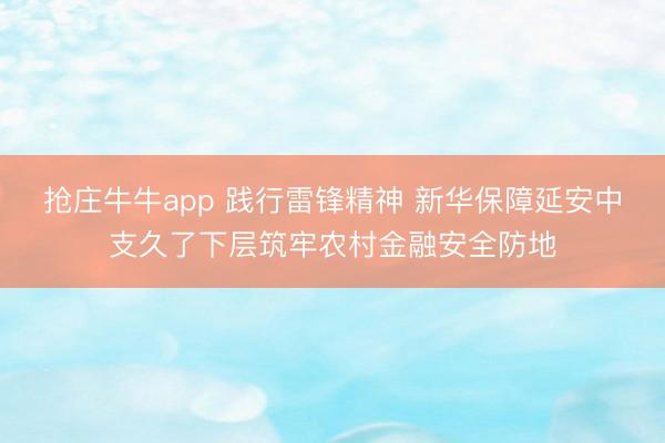 抢庄牛牛app 践行雷锋精神 新华保障延安中支久了下层筑牢农村金融安全防地