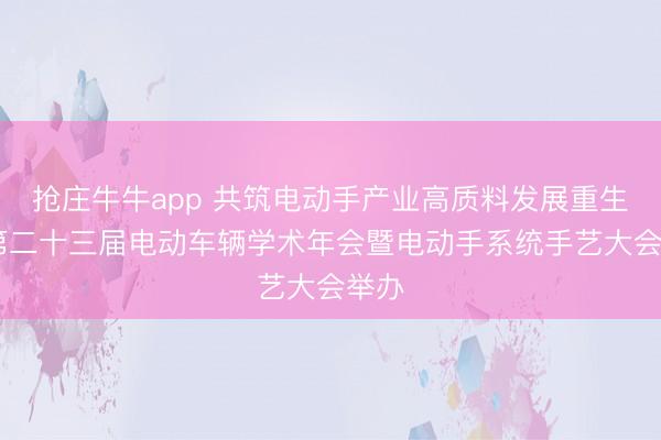 抢庄牛牛app 共筑电动手产业高质料发展重生态 第二十三届电动车辆学术年会暨电动手系统手艺大会举办