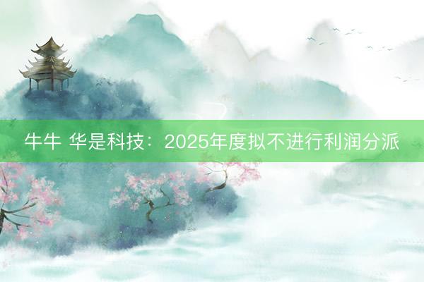 牛牛 华是科技：2025年度拟不进行利润分派