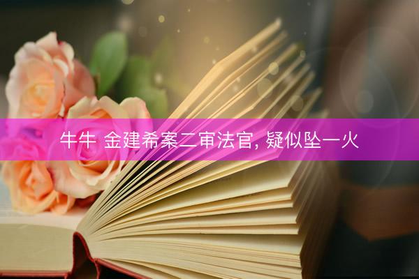 牛牛 金建希案二审法官， 疑似坠一火