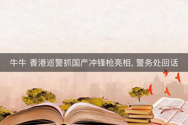 牛牛 香港巡警抓国产冲锋枪亮相， 警务处回话