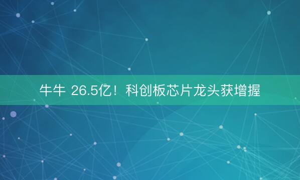 牛牛 26.5亿！科创板芯片龙头获增握