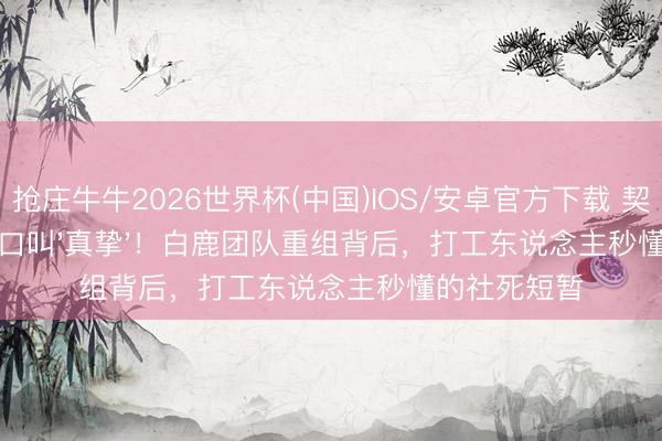 抢庄牛牛2026世界杯(中国)IOS/安卓官方下载 契约到期前改口叫'真挚'！白鹿团队重组背后，打工东说念主秒懂的社死短暂