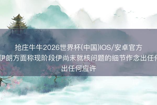 抢庄牛牛2026世界杯(中国)IOS/安卓官方下载 伊朗方面称现阶段伊尚未就核问题的细节作念出任何应许